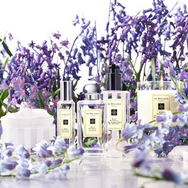 Wild Bluebell - Cologne 