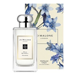 Wild Bluebell - Cologne 