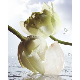 Bvlgari Man Rain Essence - Eau de Parfum