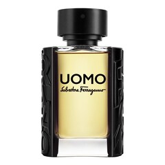 Uomo Salvatore Ferragamo - Eau de Toilette, SALVATORE FERRAGAMO