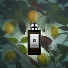 Oud & Bergamot - Cologne 