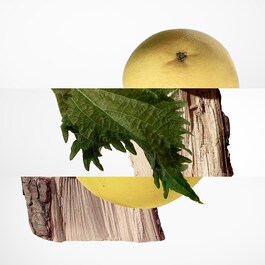 Terre d'Hermès - Parfum