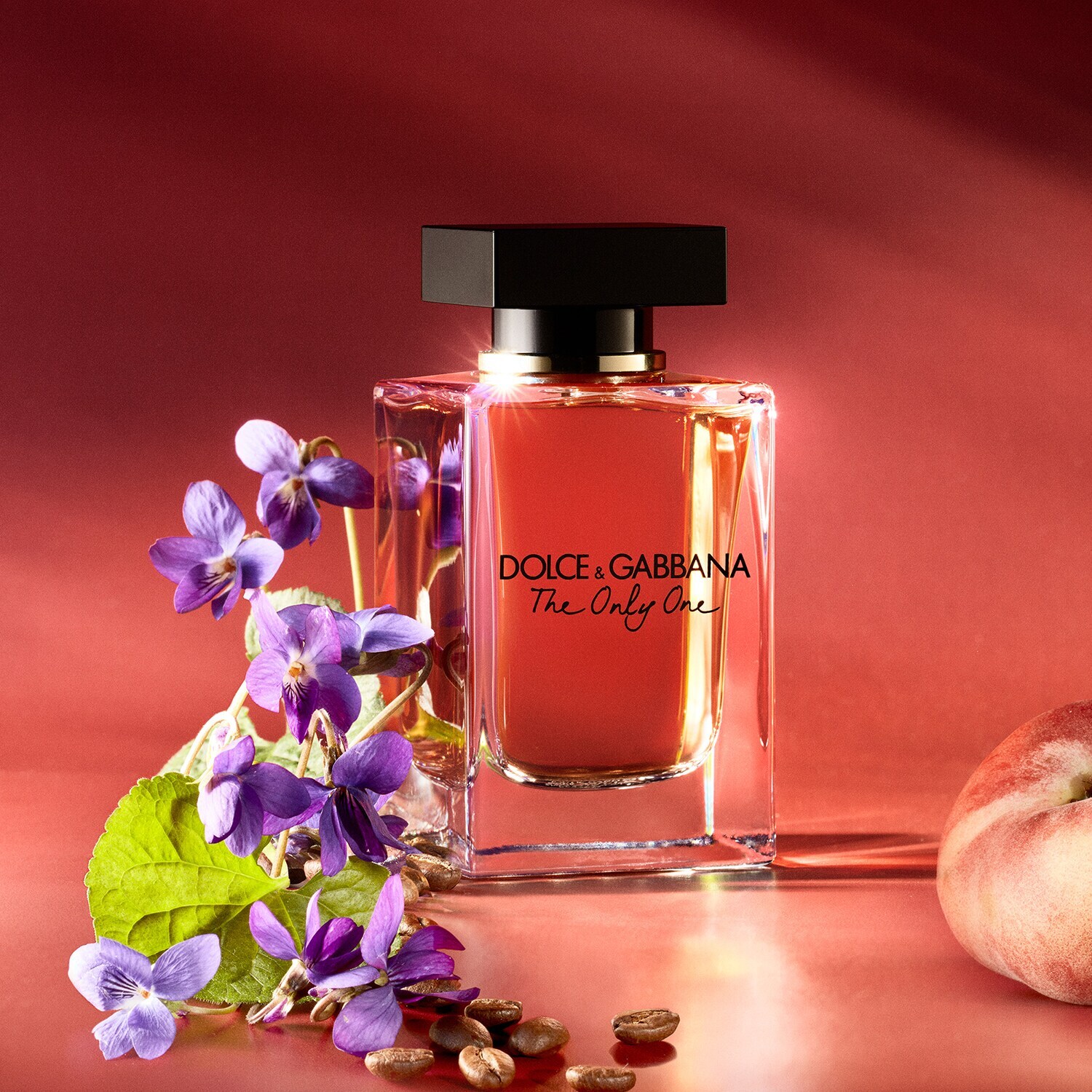 Perfume the only online one dolce gabbana