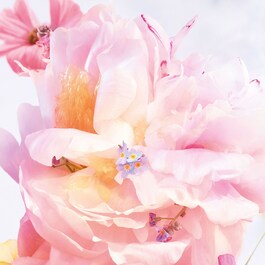Miss Dior Blooming Bouquet - Eau de Toilette