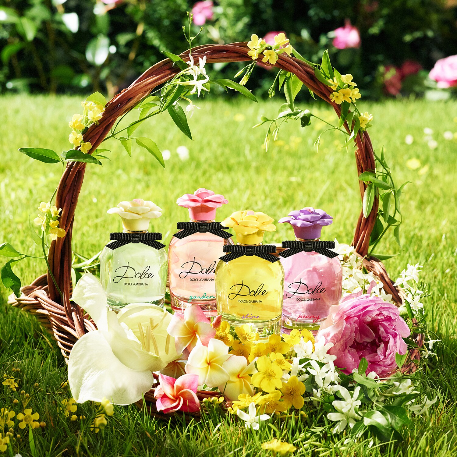 Perfume dolce sale