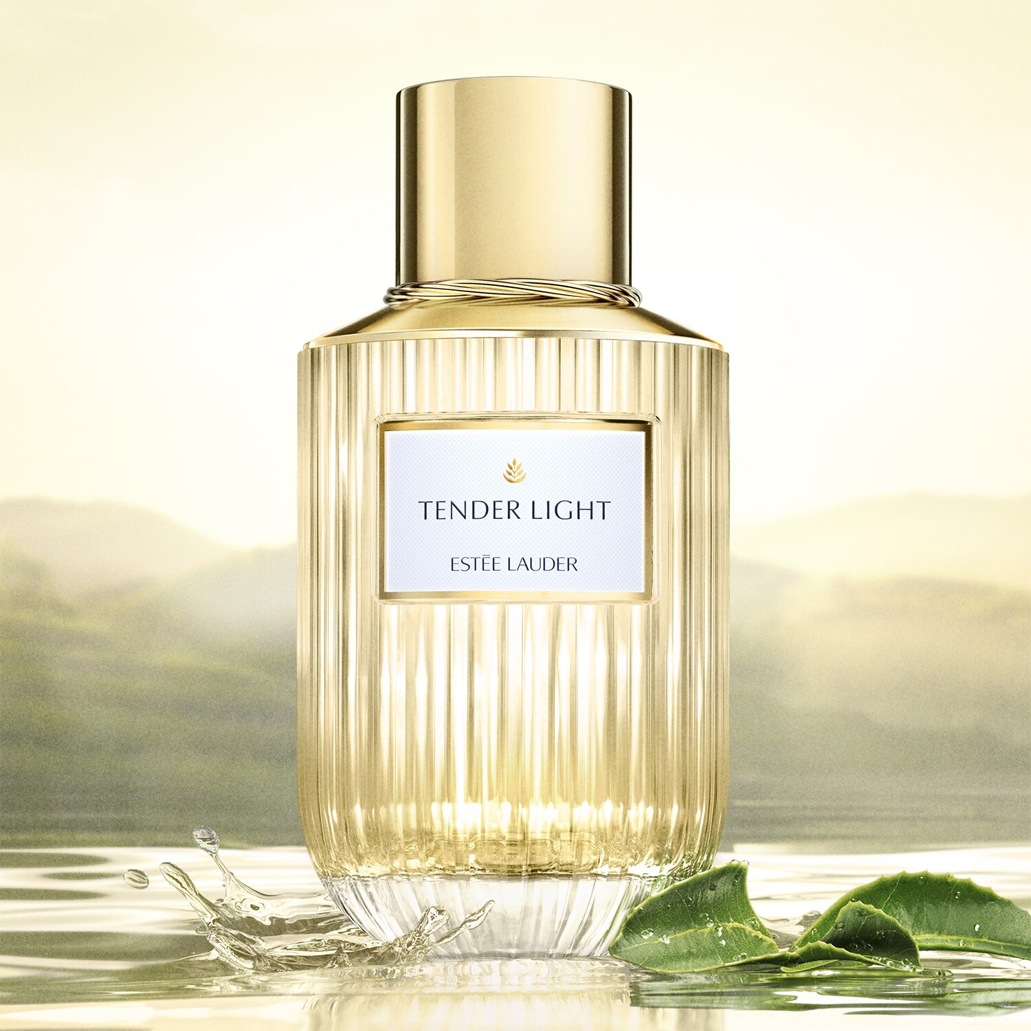 Perfume light new arrivals