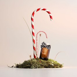 Ginger Biscuit - Cologne 
