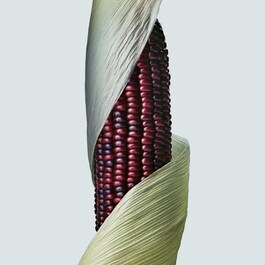 Botanical Repair - Yıpranmış Saçlar İçin Onarım Maskesi - Zengin Doku