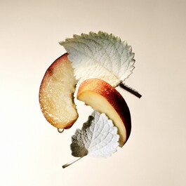 Splendida Patchouli Tentation - Eau de Parfum