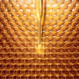 Abeille Royale - Zengin İçerikli Gündüz Kremi
