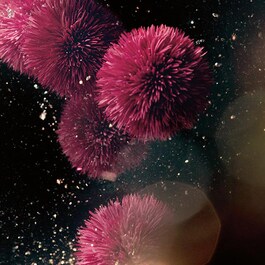 Genaissance Concentrated Night Balm - Gece Balmı