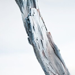 Man Glacial Essence - Eau De Parfum