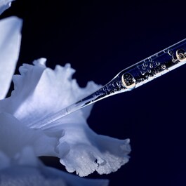 Orchidée Impériale The Longevity Concentrate - Serum