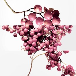 Twilly d'Hermès Eau Poivrée - Eau de Parfum
