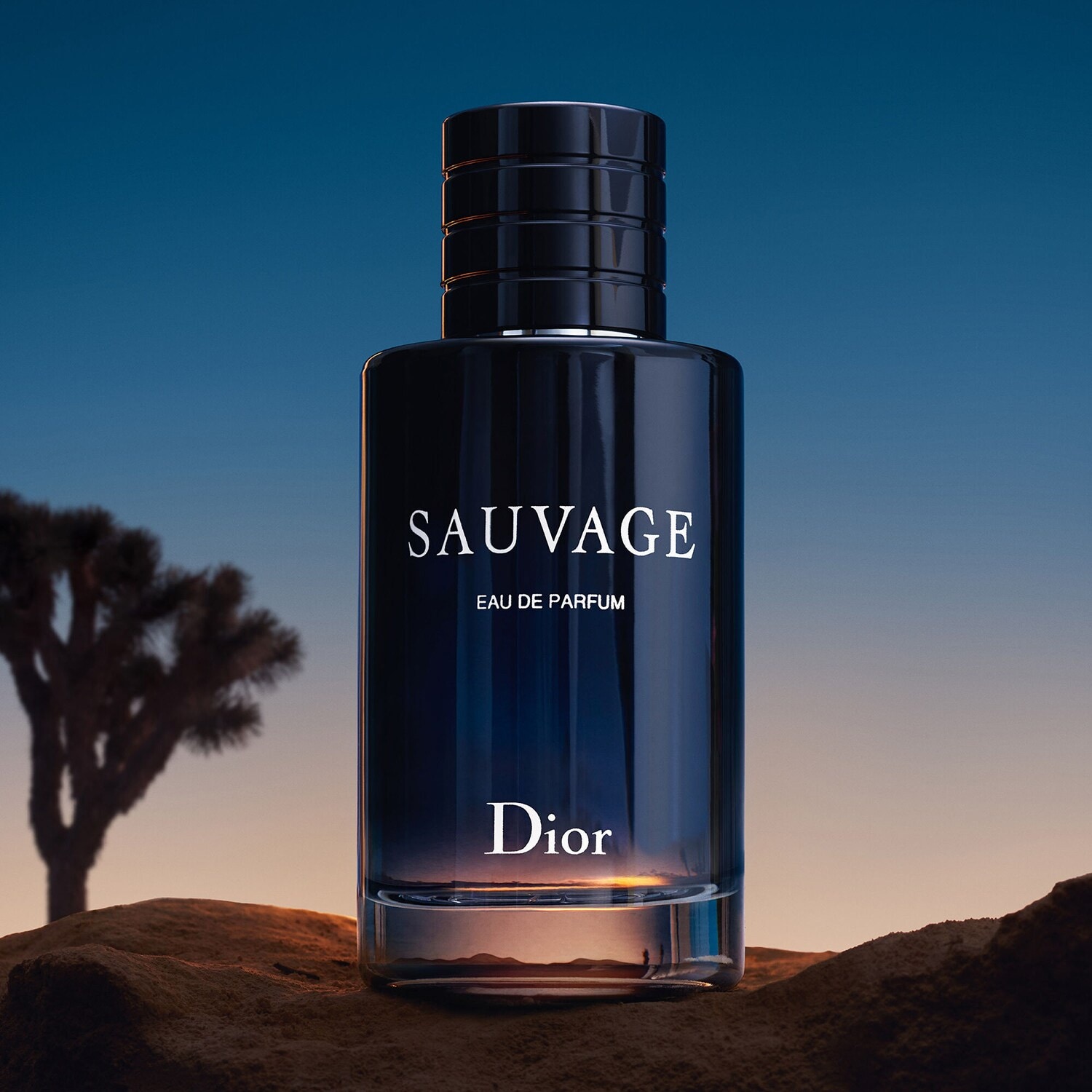 Perfume dior shop sauvage price