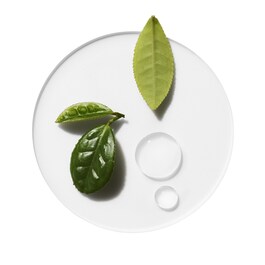 MOISTURE SURGE OVERNIGHT MASKE      