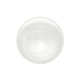 Hairdresser's Invisible Oil - Shampoo