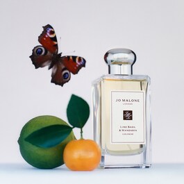 Lime Basil & Mandarin - Cologne 