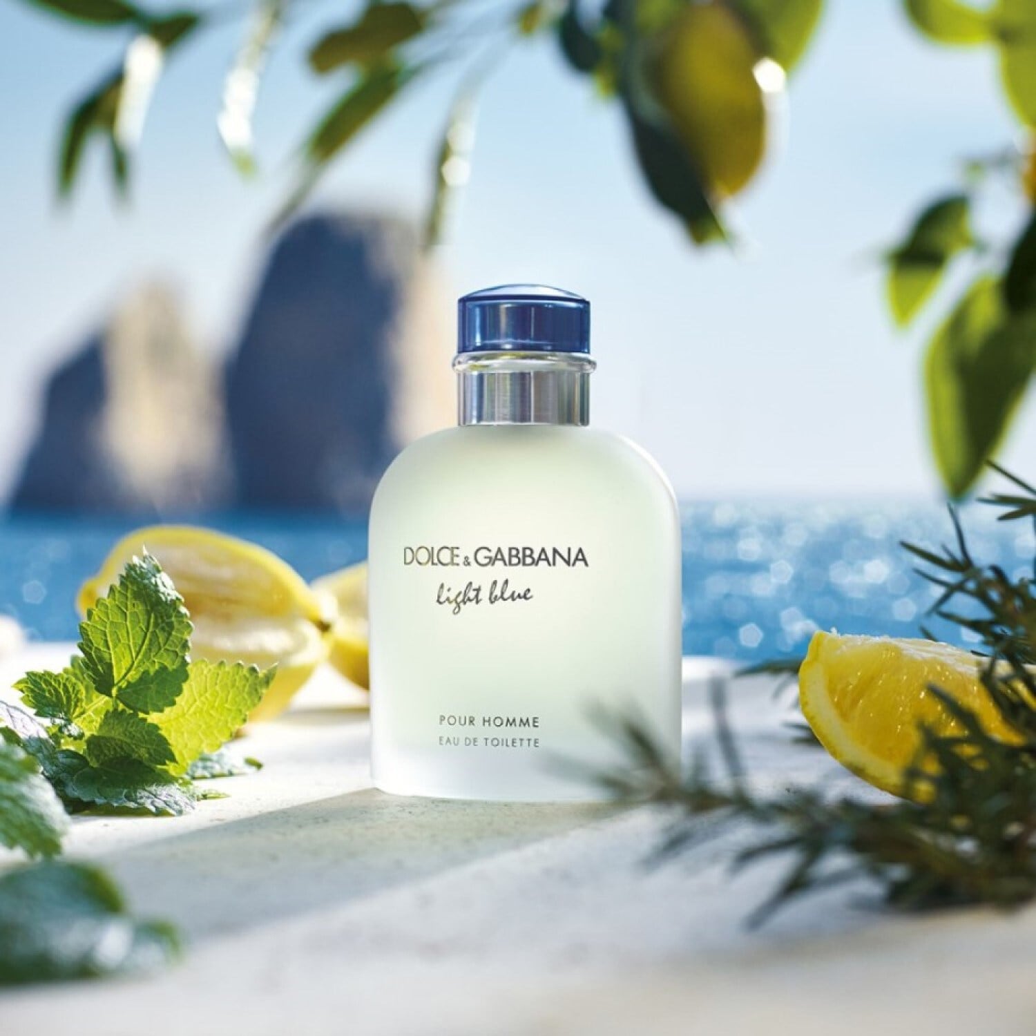 Light Blue Pour Homme Eau de Toilette DOLCE GABBANA SEPHORA