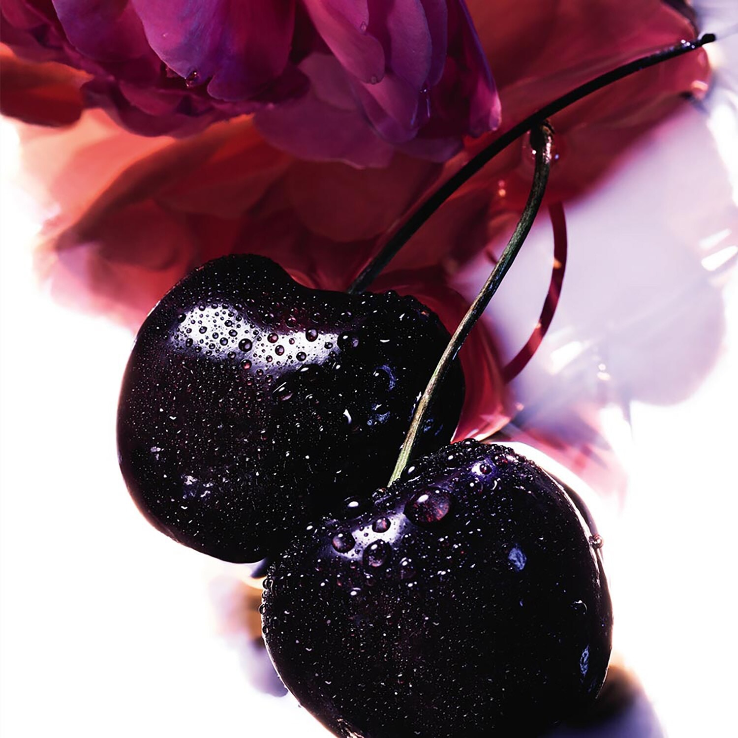 Petite robe noire hotsell parfum prix