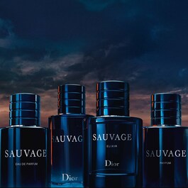 Sauvage Deodorant Stick 