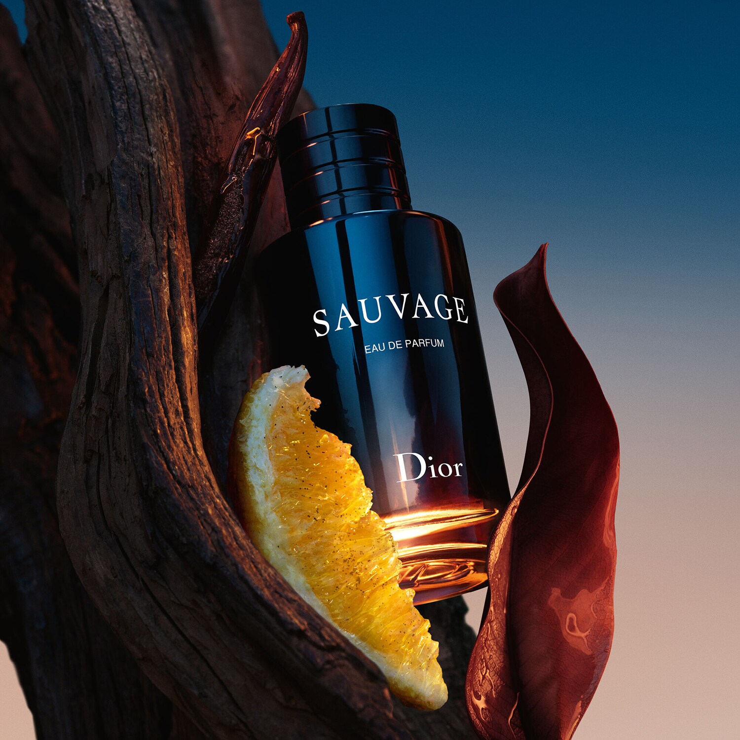 Shop Dior Sauvage Eau de Parfum Sephora KSA