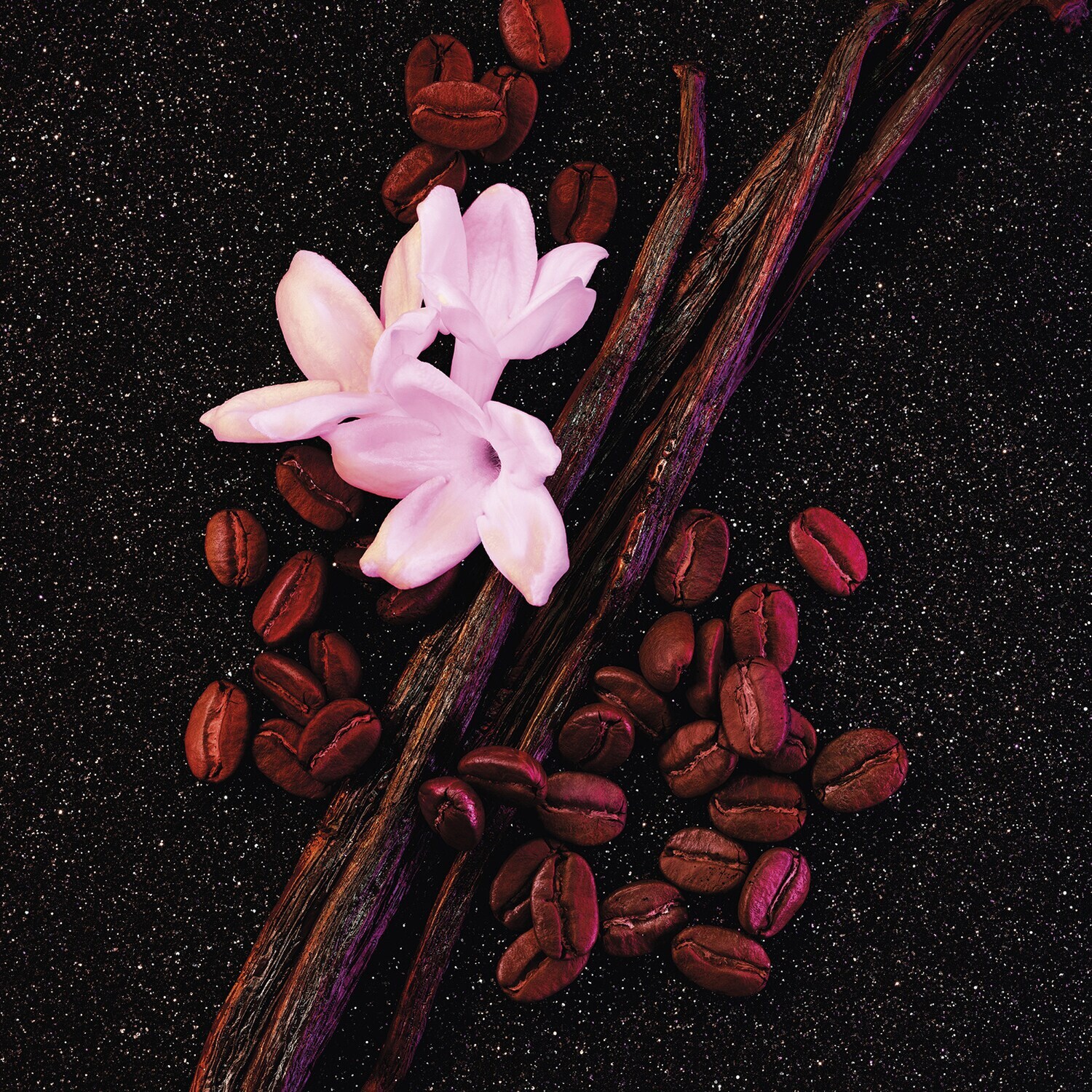 YVES SAINT LAURENT Black Opium Sephora KSA