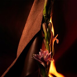 Man In Black - Eau De Parfum