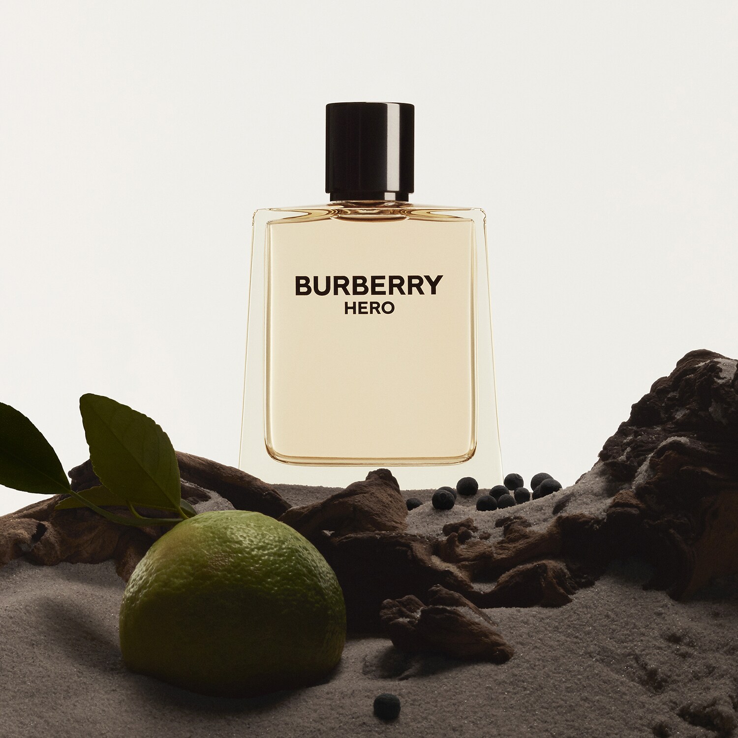 Burberry online online alışveriş
