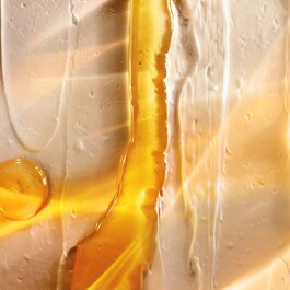 The Renewal Oil