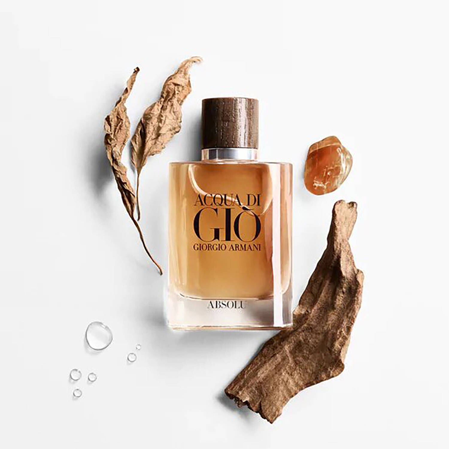 Giorgio armani acqua shop di gio absolu