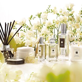 English Pear & Freesia - El ve Vücut Losyonu