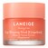 Pamplemousse - 20 g