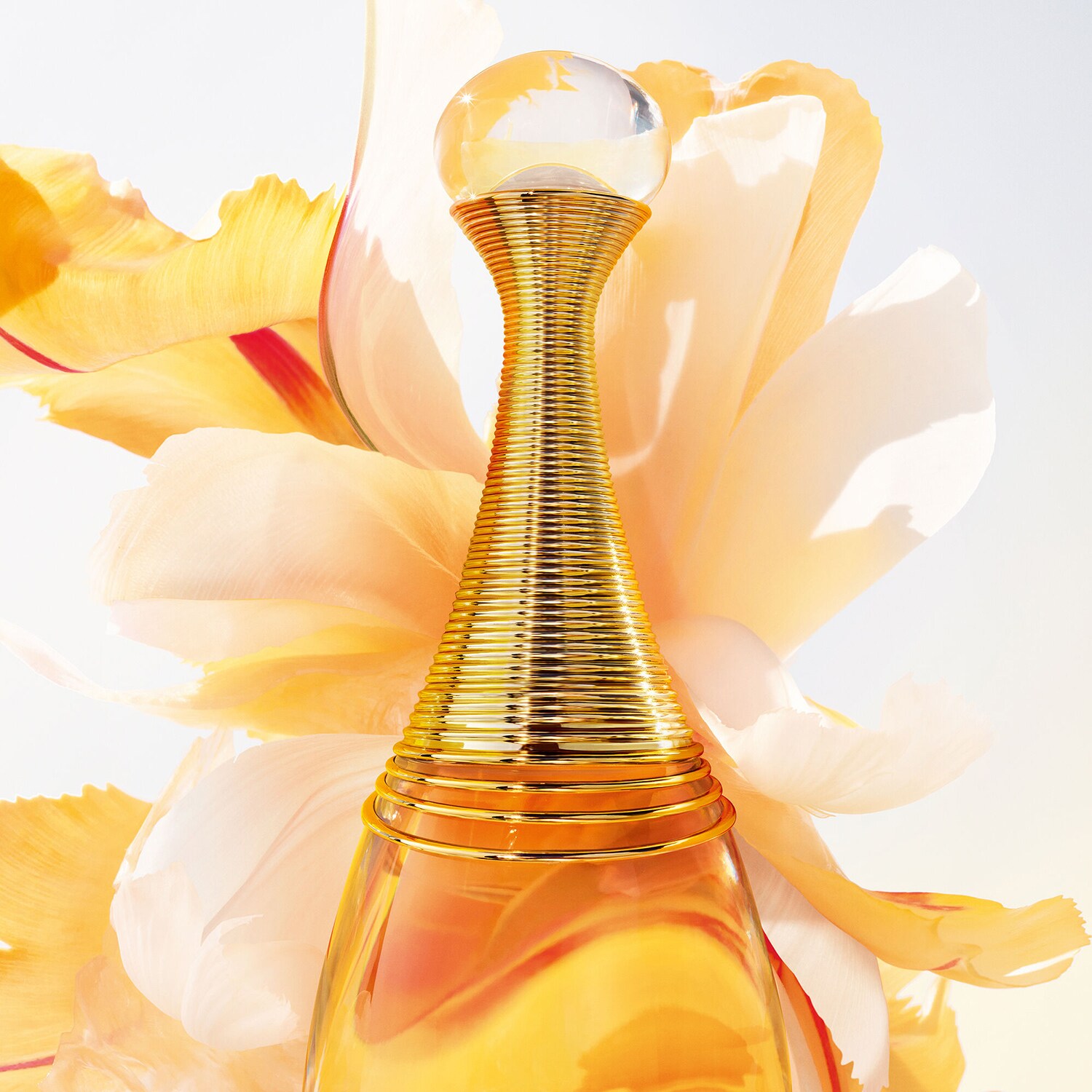 Perfume 2025 jadore 100ml