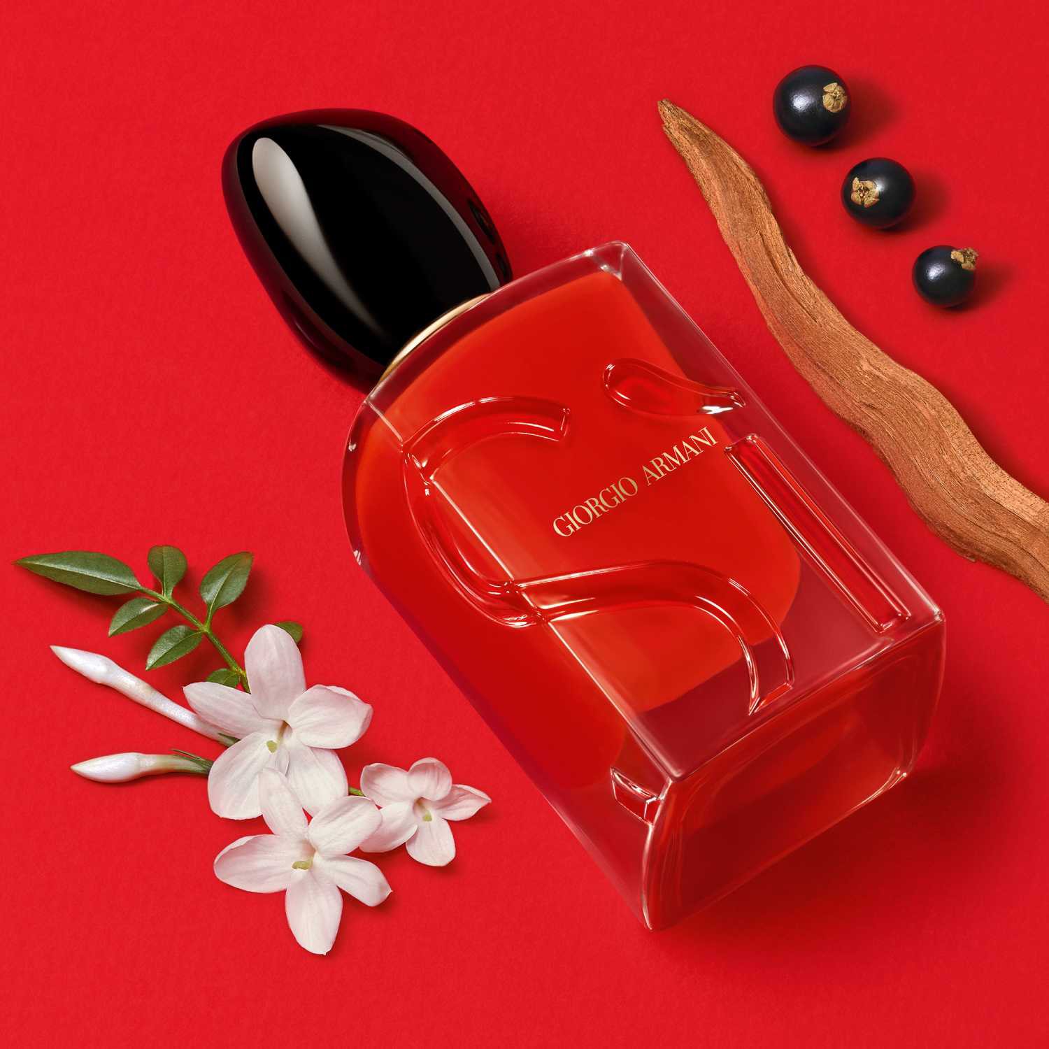 Discover the Passion Si Passione Fragrance Sephora KSA