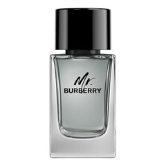 Mr. Burberry - Eau de Toilette, BURBERRY