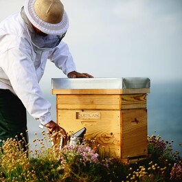 Abeille Royale Bee Glow