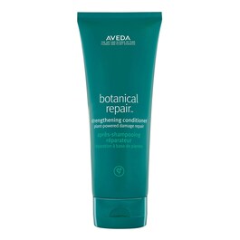 Botanical Repair - Yıpranmış Saçlar İçin Onarım Kremi