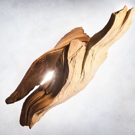 Allegra Magnifying Sandalwood - Eau de Parfum
