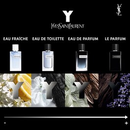 Y Men - Eau de Parfum