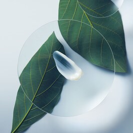 Botanical Repair - Durulanmayan Saç Onarım Ve Bakım Kremi