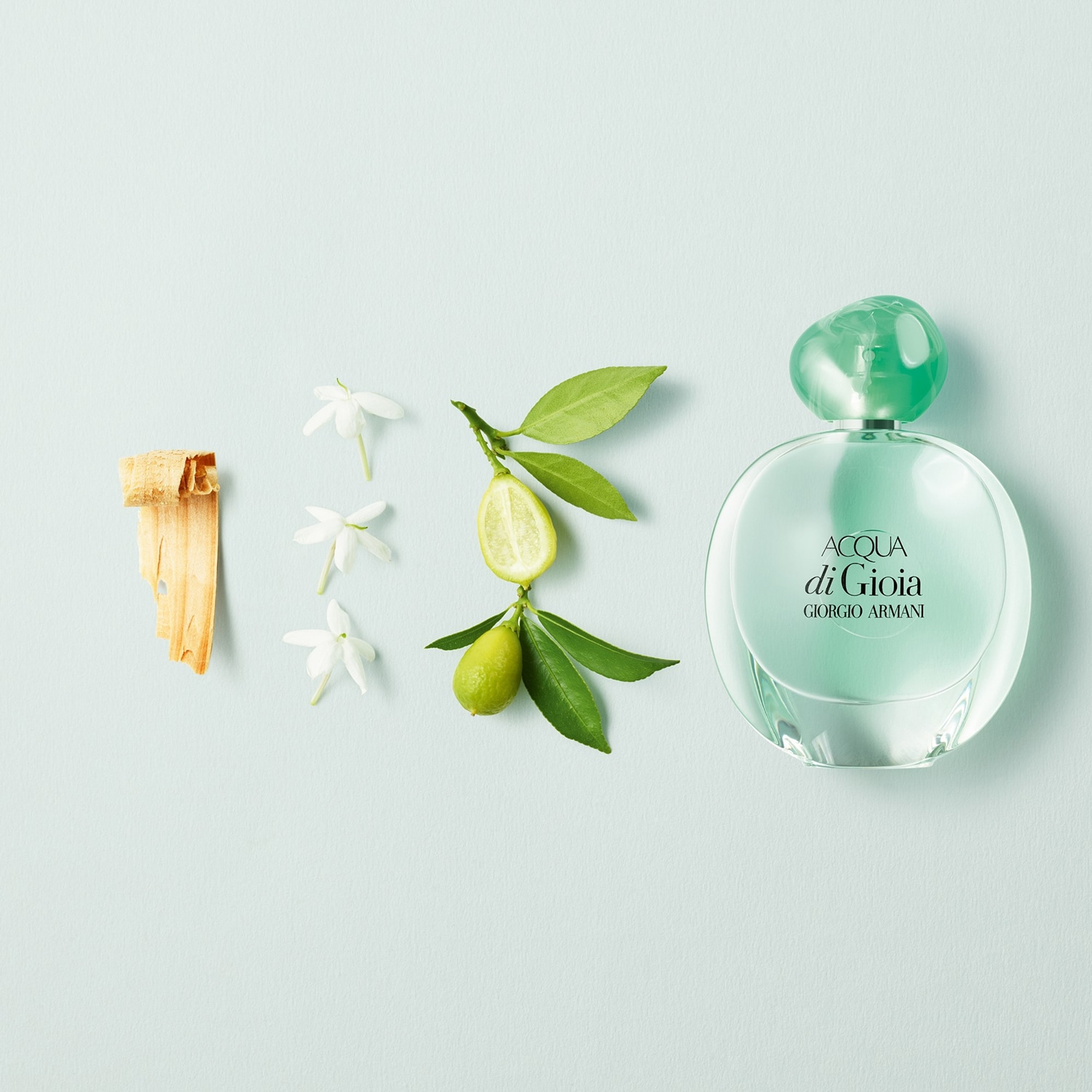 Giorgio armani acqua di deals gioia edp