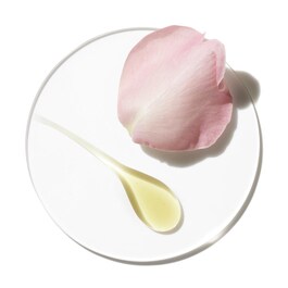 Aromatics Elixir Parfüm