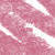 N°8. Classic Pink (0,7 g)