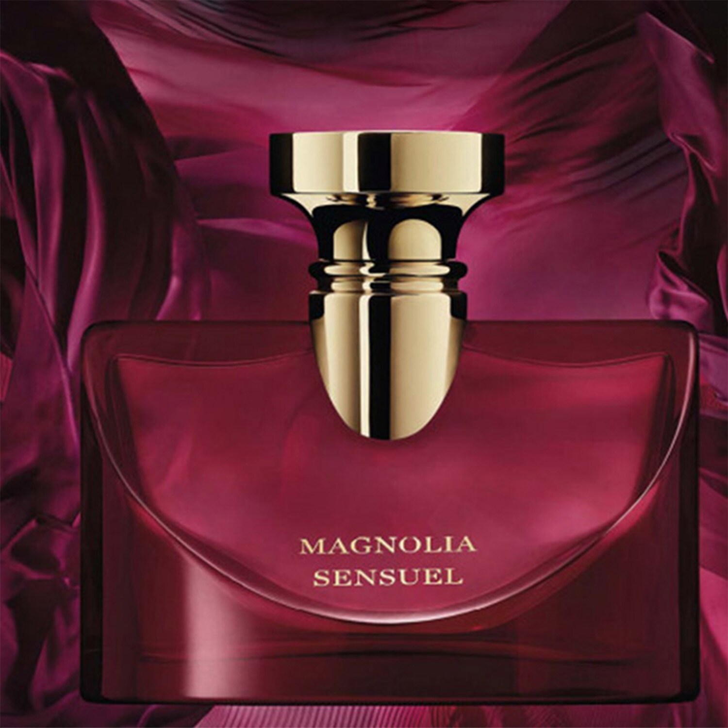Splendida Magnolia Sensuel