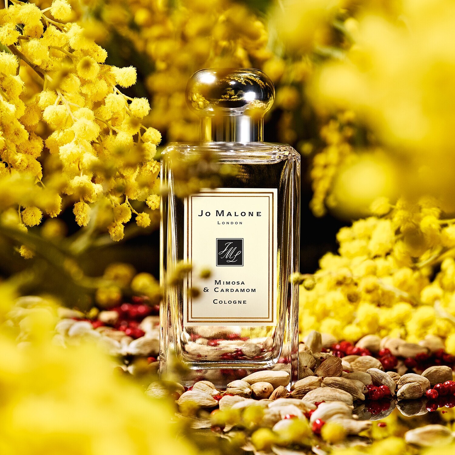 Mimosa & Cardamom - Cologne JO MALONE LONDON ≡ SEPHORA