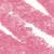09 Fushia (1,2 g)