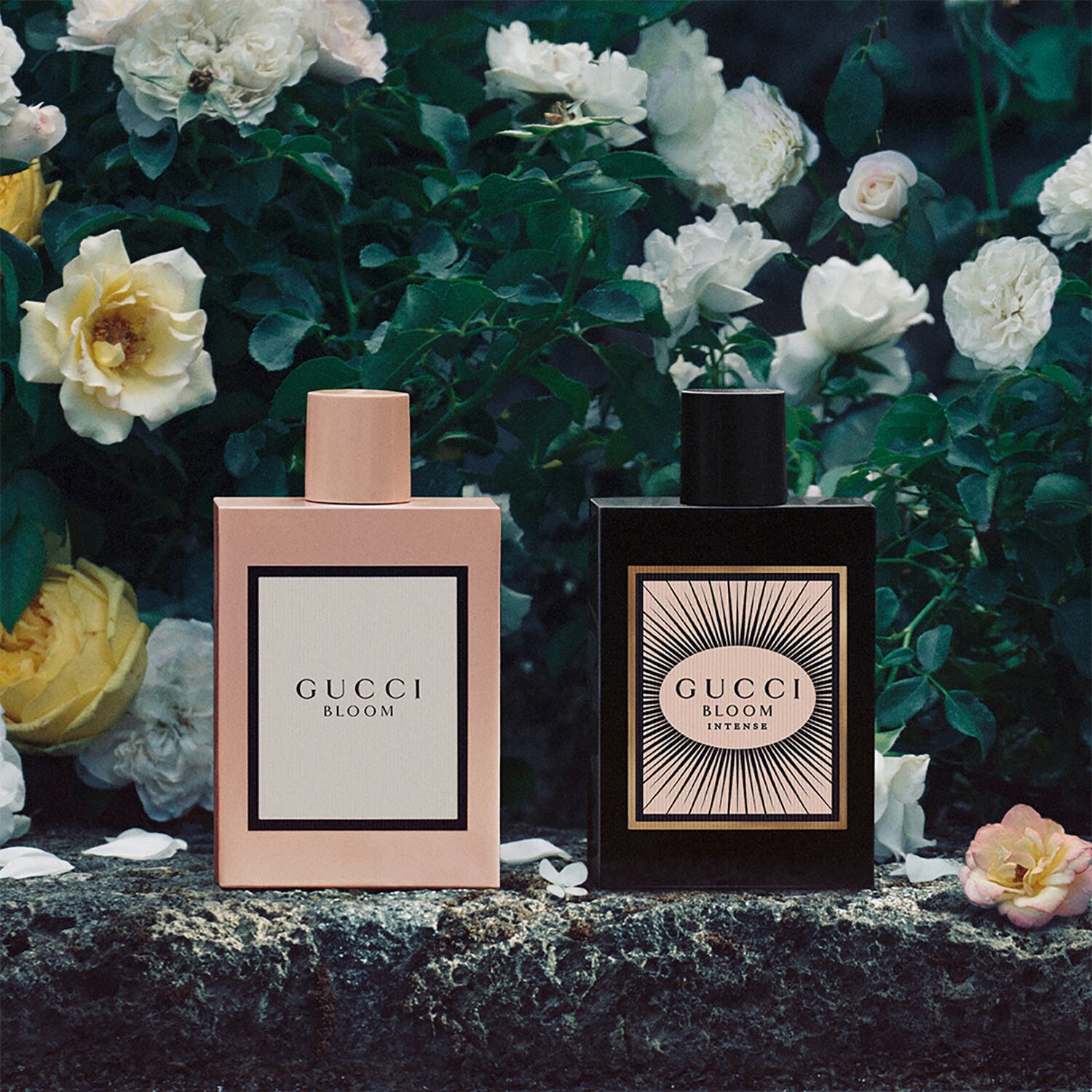 eau de parfum bloom gucci