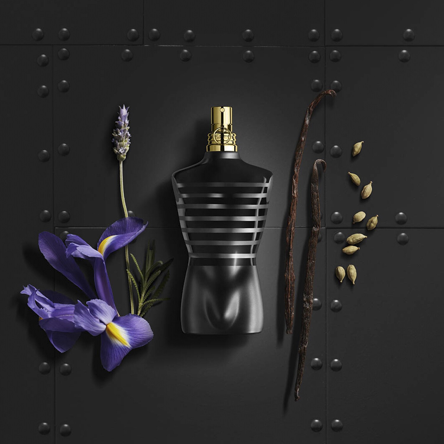 Le Male Le Parfum Eau De Parfum JEAN PAUL GAULTIER ≡ SEPHORA