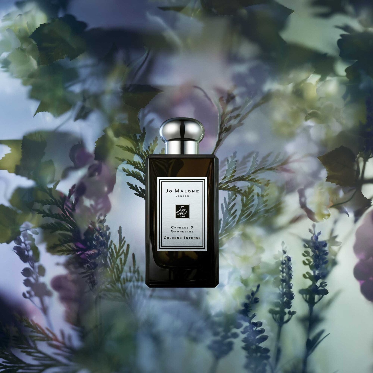 Cypress & Grapevine Cologne JO MALONE LONDON ≡ SEPHORA